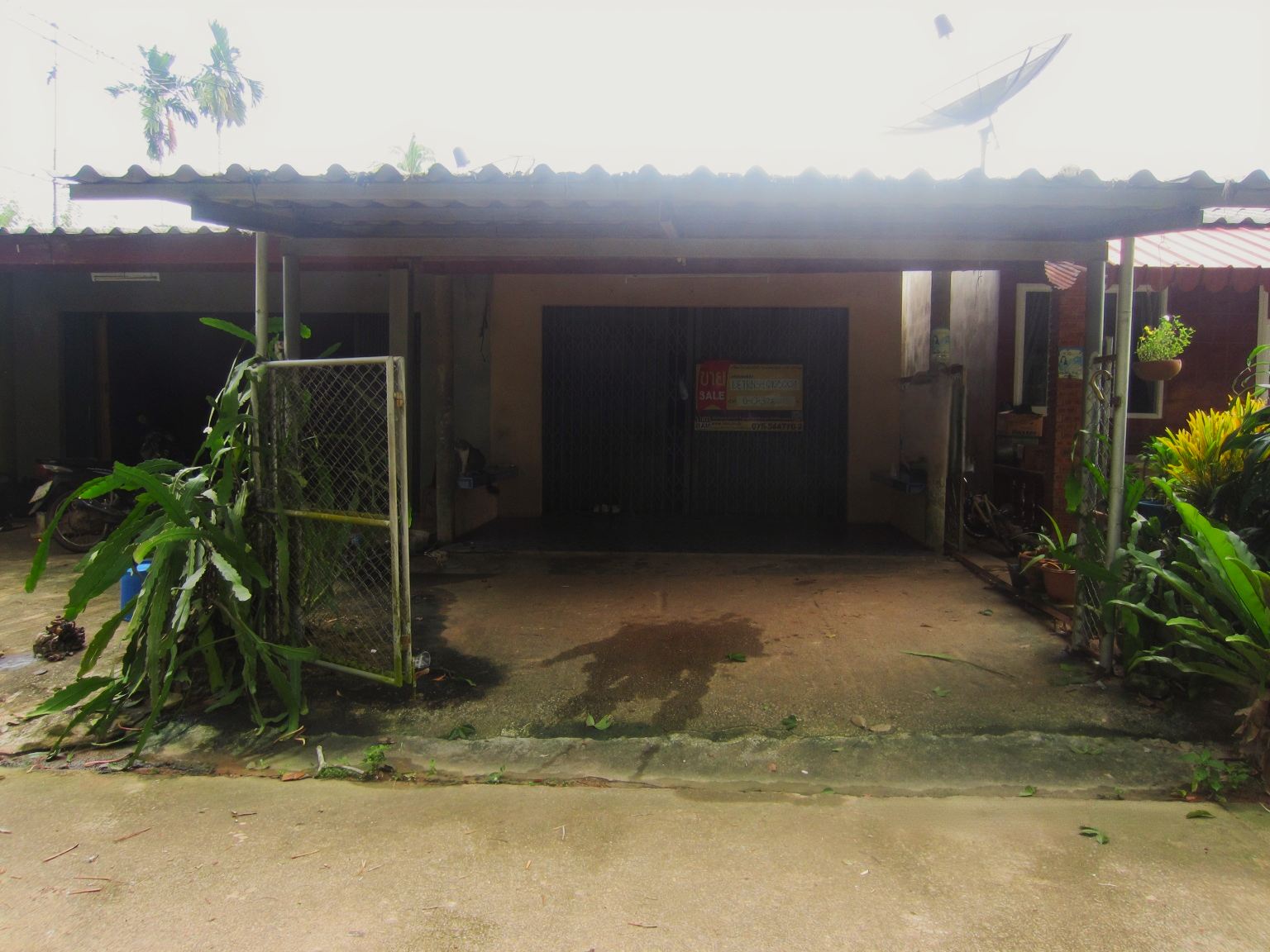 บ้านเดี่ยว ปะเหลียน ตรัง