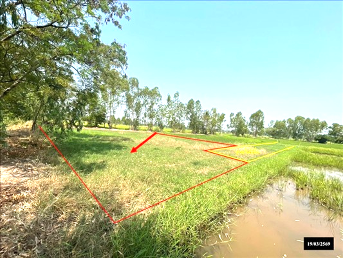 Vacant Land for Sale in Sakon Nakhon, Sakon Nakhon Province