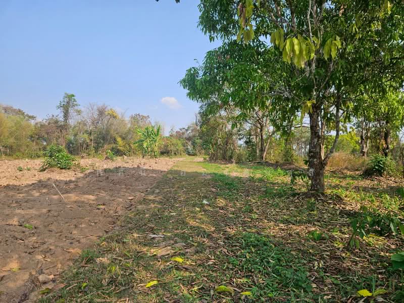โป่งแพร่, Chiang Rai
