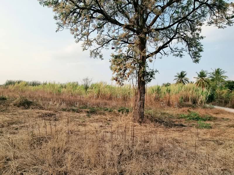 ที่ดินสระโบสถ์ ลพบุรี, Lop Buri
