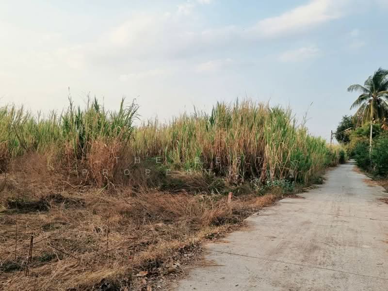 ที่ดินสระโบสถ์ ลพบุรี, Lop Buri
