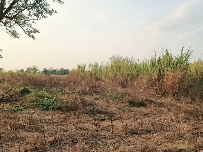ที่ดินสระโบสถ์ ลพบุรี, Lop Buri