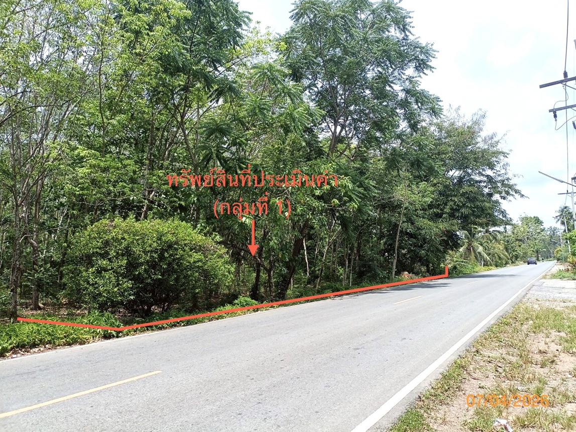 Vacant Land in Thung Song, Nakhon Si Thammarat