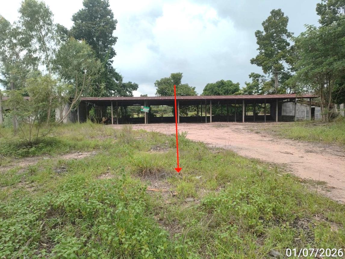 Single-Family House in Suvarnabhumi, Roi Et