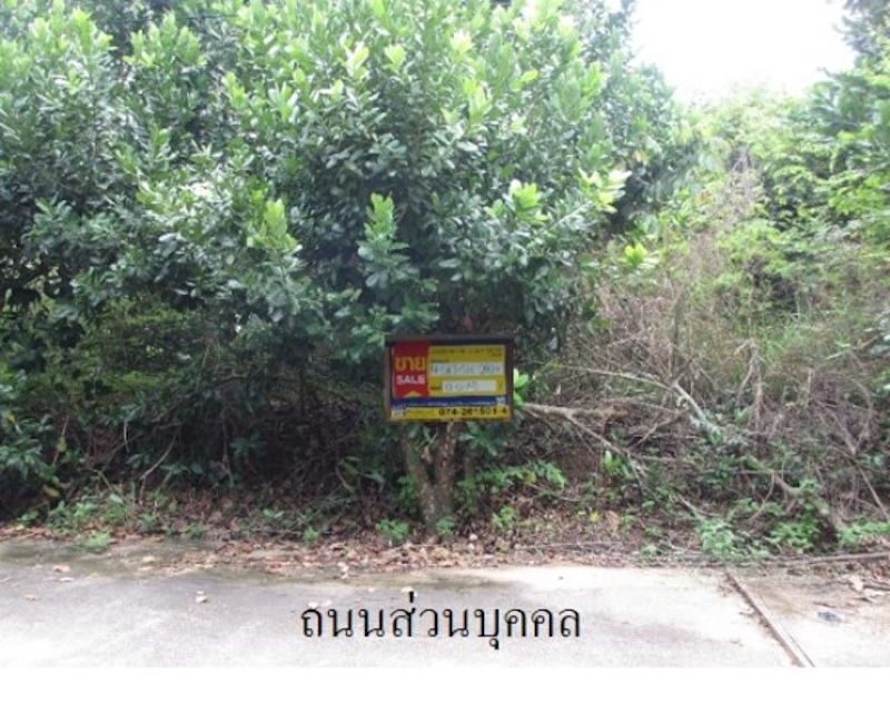 Empty land, Nana City New Town, Songkhla