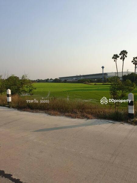 82193 - ขายที่ดิน 6 ไร่ ใกล้ศูนย์กระจายสินค้าโลตัส สามโคก, Pathum Thani