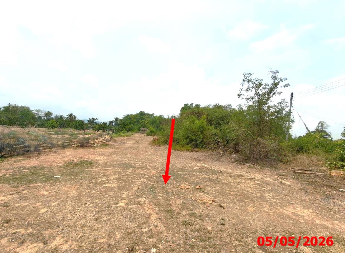 Vacant Land in Mae Tha, Lamphun