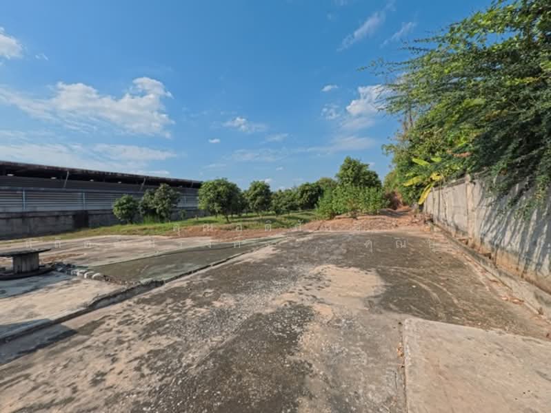 ที่ดิน ถ.ปู่เจ้าสมิงพราย ต.สำโรงใต้ อ.พระประแดง จ.สมุทรปราการ 10130, Samut Prakan