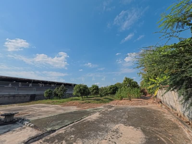 ที่ดิน ถ.ปู่เจ้าสมิงพราย ต.สำโรงใต้ อ.พระประแดง จ.สมุทรปราการ 10130, Samut Prakan