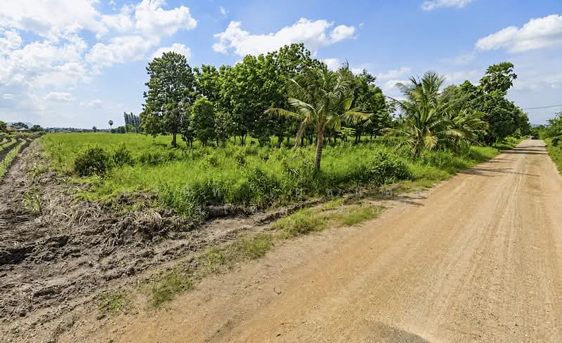 ที่ดินเขาใหญ่ แปลงสวย 18 ไร่ ปากช่อง นครราชสีมา, Nakhon Ratchasima
