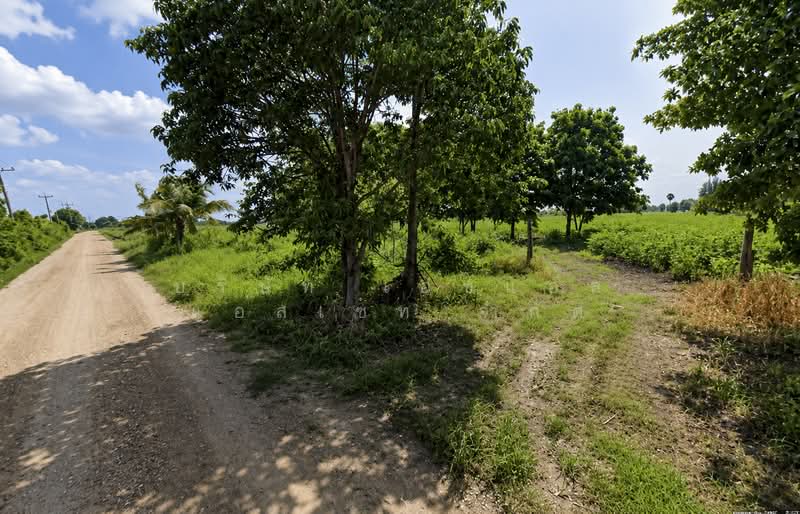 ที่ดินเขาใหญ่ แปลงสวย 18 ไร่ ปากช่อง นครราชสีมา, Nakhon Ratchasima