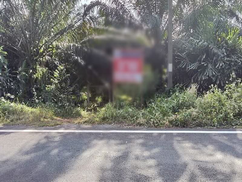 For sale Large land plot at Chamuang Khuankhanun Phatthalung, Phatthalung
