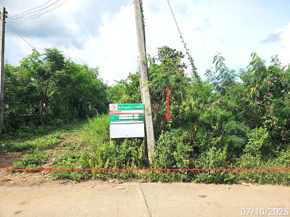 Vacant Land for Sale in Vichian Buri, Phetchabun