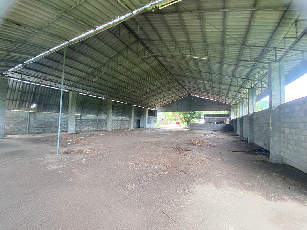 โรงงาน ป่าซาง ลำพูน