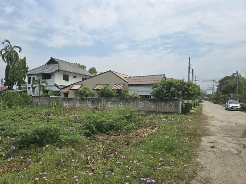 Land for sale , near bantormarket 300 m. bantor temple , muangchiang mai, Chiang Mai