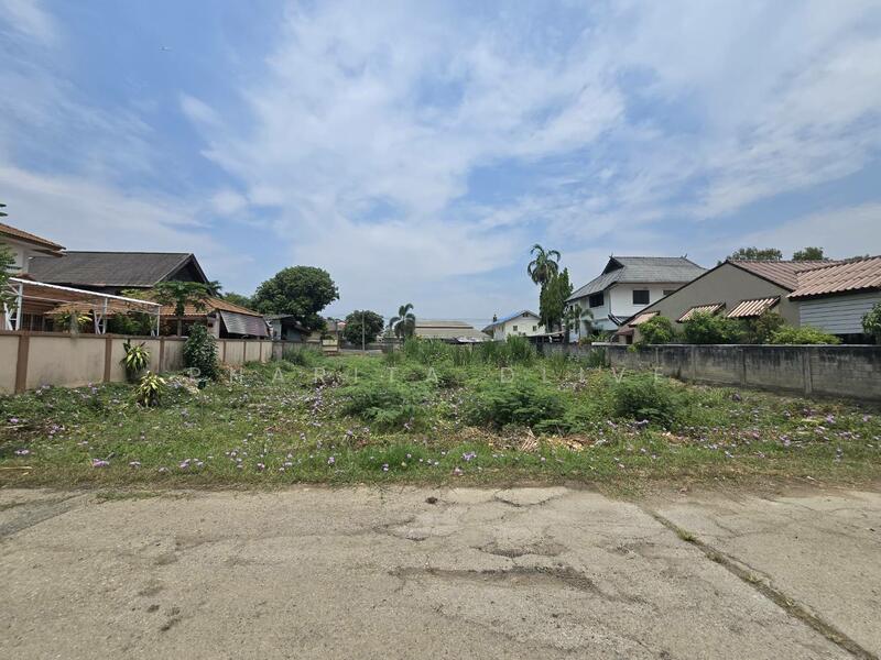 Land for sale , near bantormarket 300 m. bantor temple , muangchiang mai, Chiang Mai