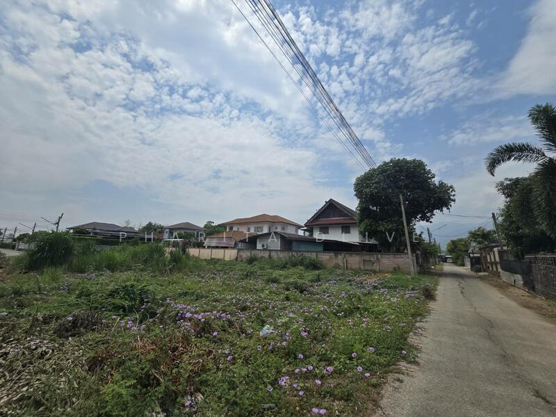 Land for sale , near bantormarket 300 m. bantor temple , muangchiang mai, Chiang Mai