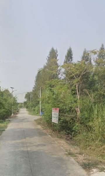 | land plot 1-3-38, Sam Khok, Pathum Thani., Pathum Thani