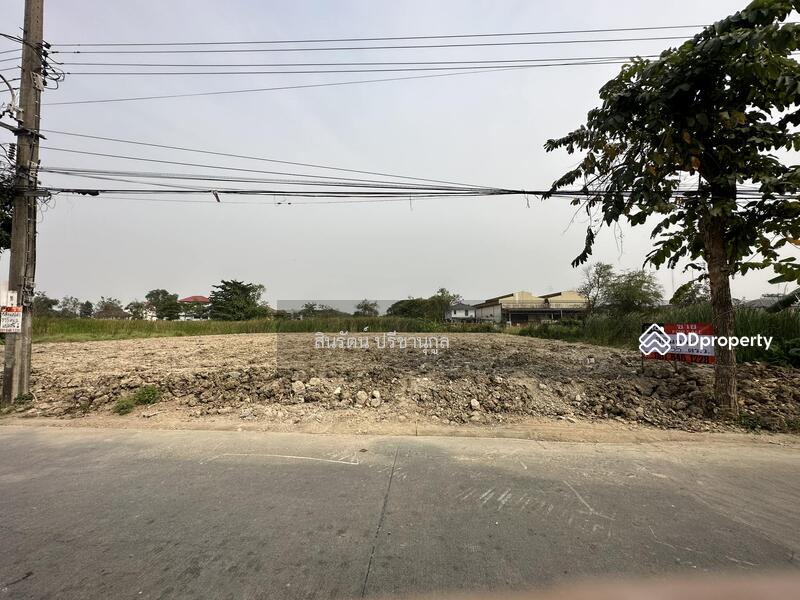 ที่ดิน ซอยเพชรเกษม 77 แยก 4-5 หนองแขม, Bangkok