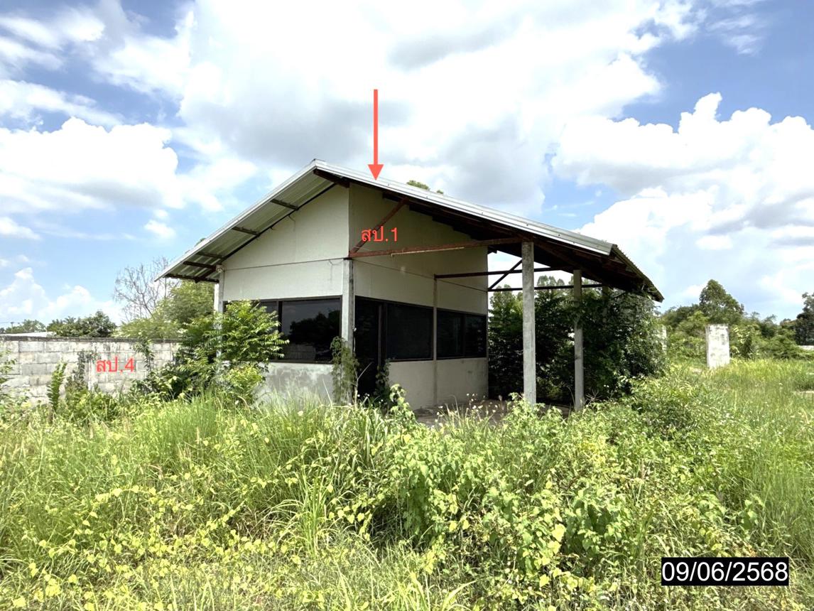 Single House in Yang Talat, Kalasin