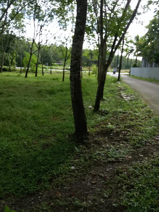 Vacant Land for Sale in Trang City, Trang Province