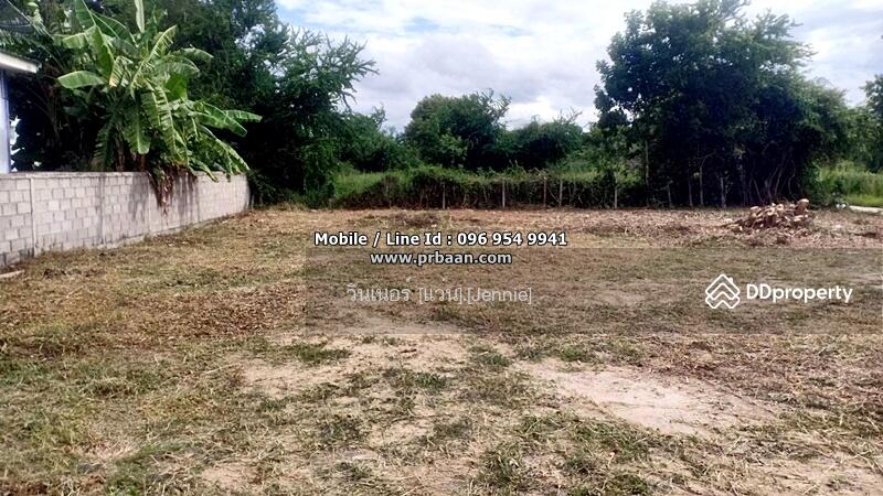 ขายที่ดิน 195 ตารางวา ตำบลสามพระยา อำเภอชะอำ เพชรบุรี อยู่ในเขตชะอำ ถมแล้ว เป็นทรงสี่เหลี่ยม, Phetchaburi