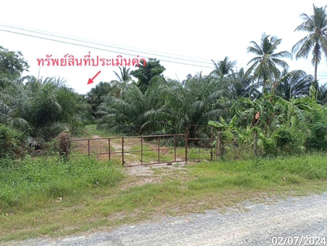 โกดัง เชียรใหญ่ นครศรีธรรมราช