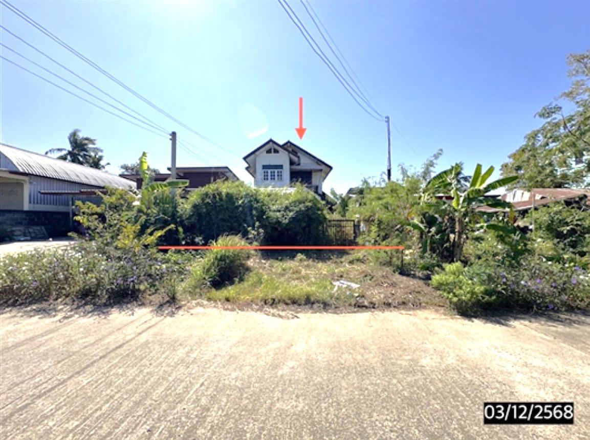 Single House in Nong Pho, Roi Et