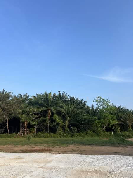 Land nearby Natai Beach 6 min., Phangnga