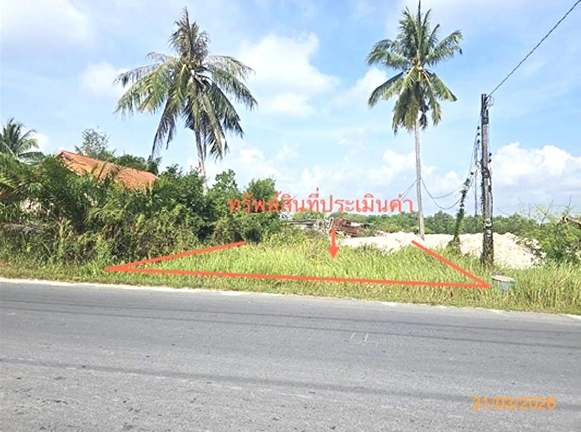 Vacant Land for Sale in Chawat, Nakhon Si Thammarat