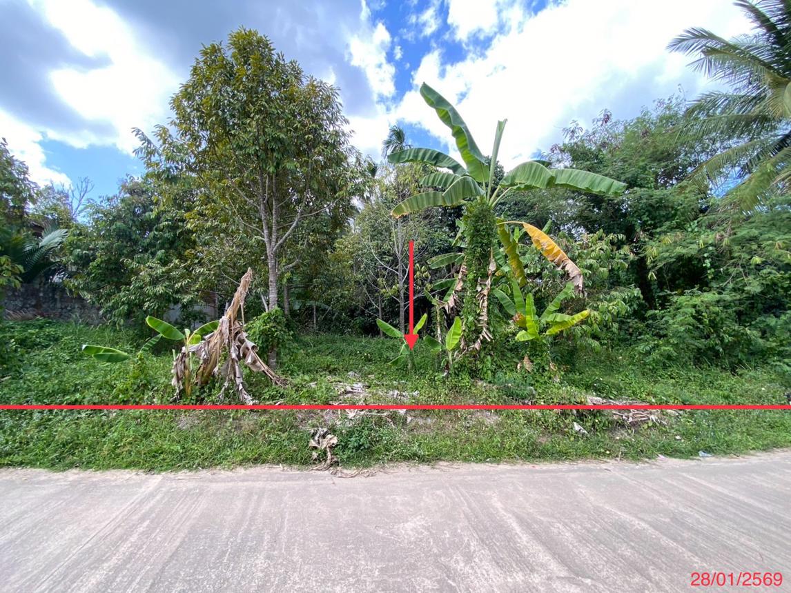 Empty land plot in Nakhon Si Thammarat, Songkhla Province