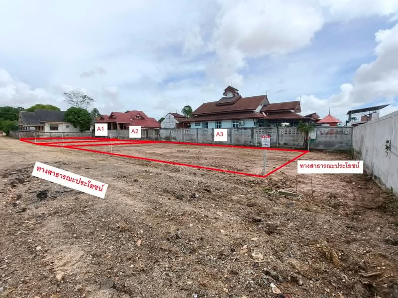 land for sell, Chon Buri (Pattaya)