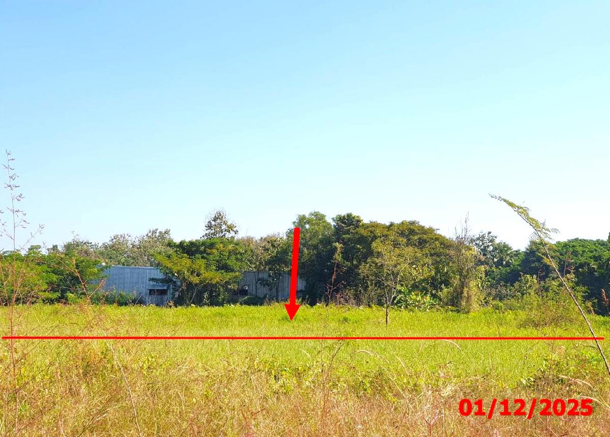 Vacant Land for Sale in Lamphun, Lamphun Province