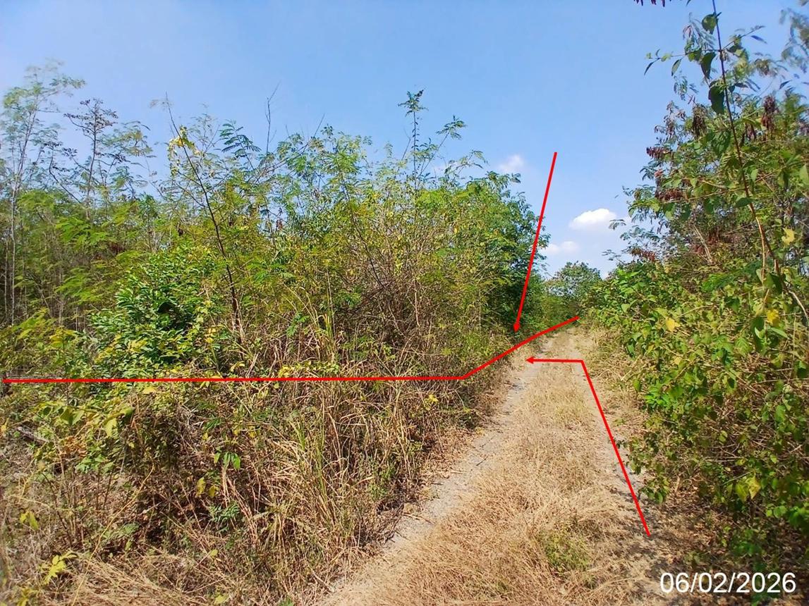 ที่ดินว่างเปล่า วังแก้ว ปาร์คฮิลล์ รีสอร์ท วังม่วง สระบุรี