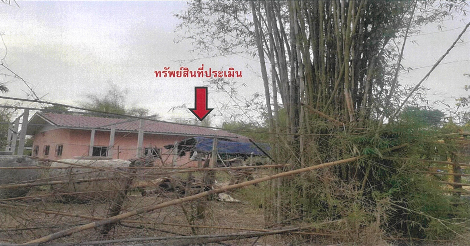 บ้านพักอาศัยตึกชั้นเดียว ปราจีนบุรี