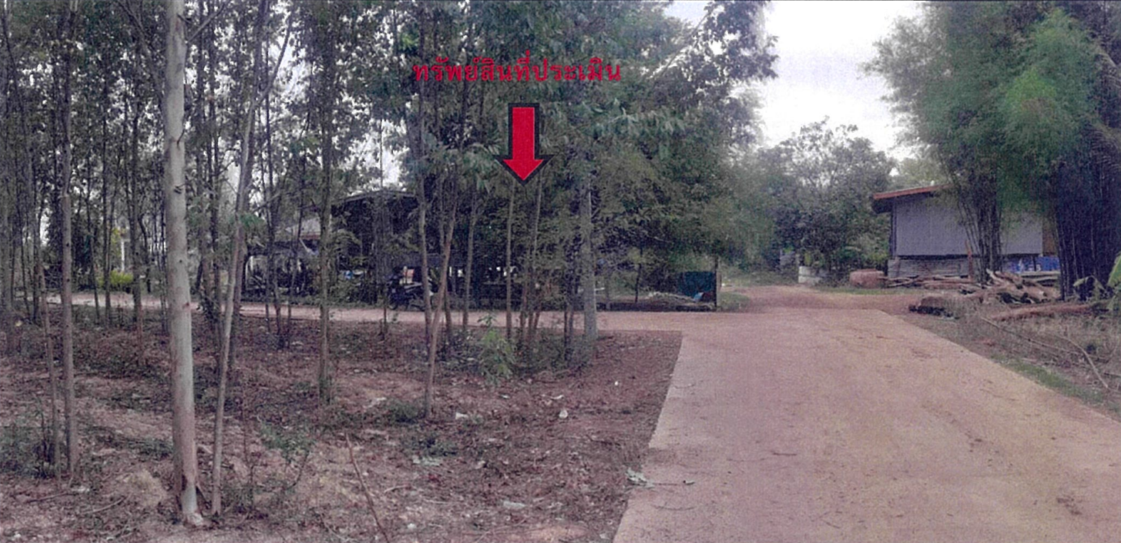บ้านพักอาศัยตึกชั้นเดียว ปราจีนบุรี