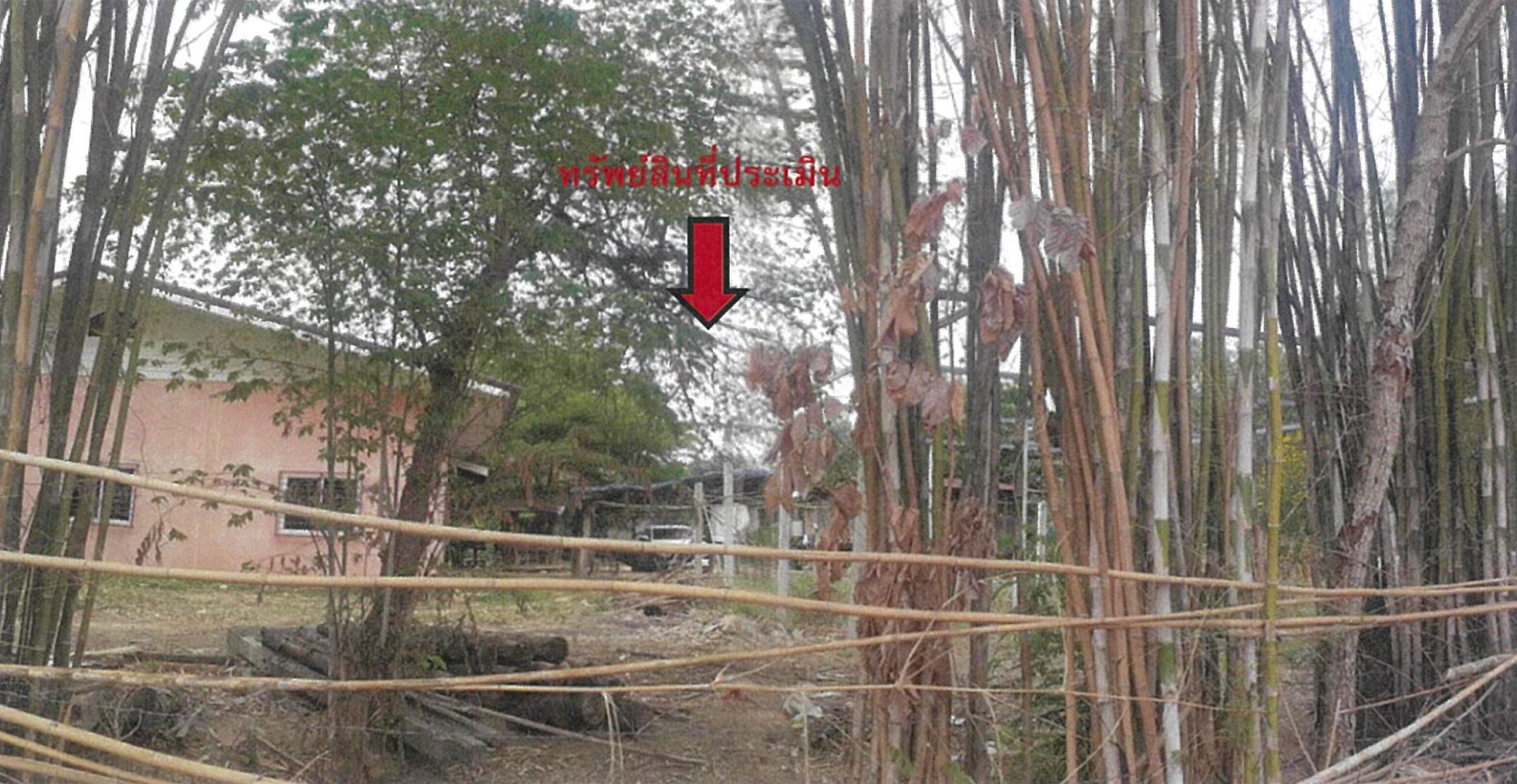 บ้านพักอาศัยตึกชั้นเดียว ปราจีนบุรี