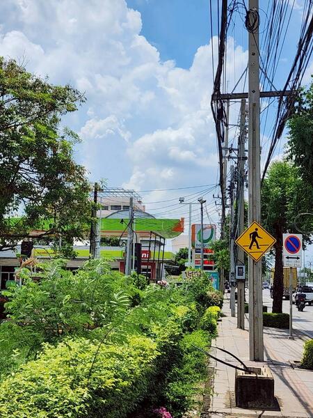 1 rai of vacant land, currently used as a recycling waste purchasing shop, Wongwanich Shop, Bangkok