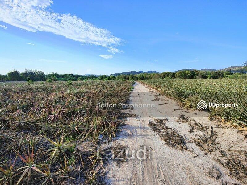 Land, Prachuap Khiri Khan