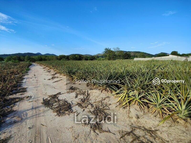 Land, Prachuap Khiri Khan