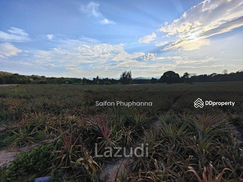 Land, Prachuap Khiri Khan