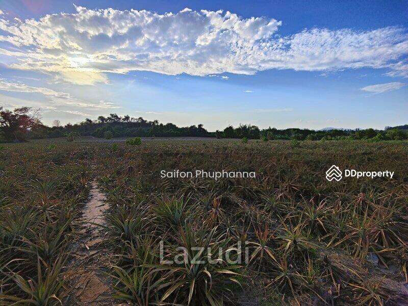 Land, Prachuap Khiri Khan
