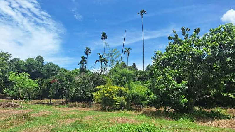 Blue Butterfly Organic Farm, Rayong