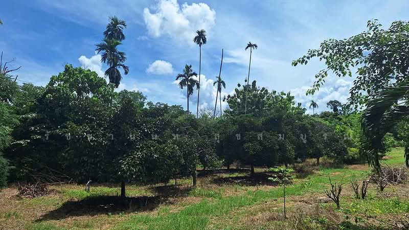 Blue Butterfly Organic Farm, Rayong