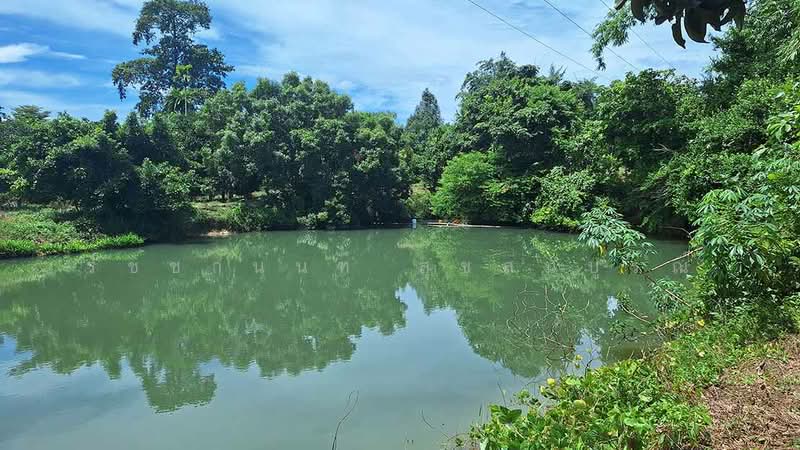 Blue Butterfly Organic Farm, Rayong
