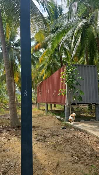 ขายที่ดินสวนมะพร้าว พร้อมบ้านพัก + คอนเทนเนอร์ 40 ฟุต ฟรี! ใกล้ชายหาด บางสะพาน จ.ประจวบคีรีขันธ์, Prachuap Khiri Khan