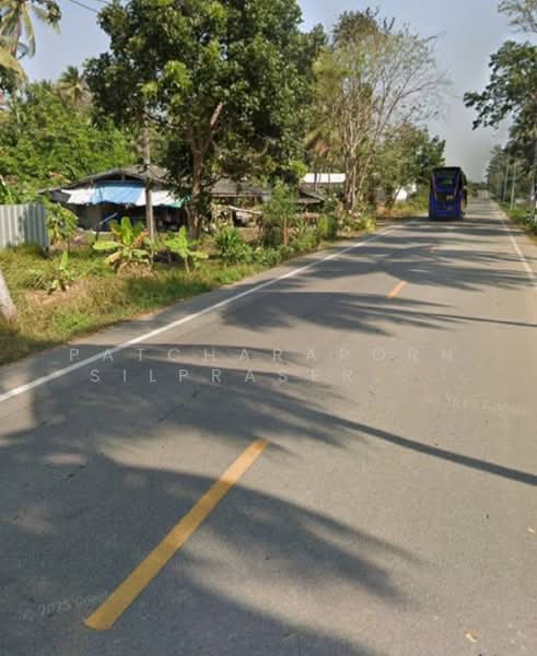 ขายที่ดินสวนมะพร้าว พร้อมบ้านพัก + คอนเทนเนอร์ 40 ฟุต ฟรี! ใกล้ชายหาด บางสะพาน จ.ประจวบคีรีขันธ์, Prachuap Khiri Khan