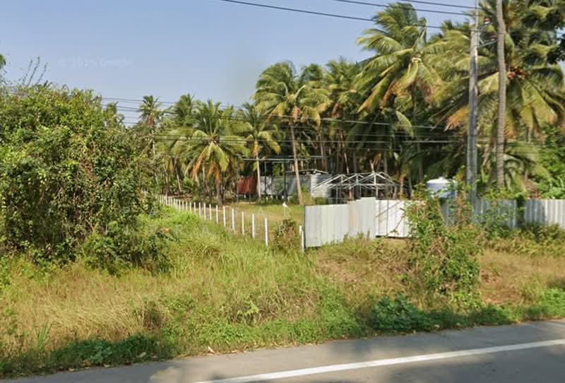 ขายที่ดินสวนมะพร้าว พร้อมบ้านพัก + คอนเทนเนอร์ 40 ฟุต ฟรี! ใกล้ชายหาด บางสะพาน จ.ประจวบคีรีขันธ์, Prachuap Khiri Khan