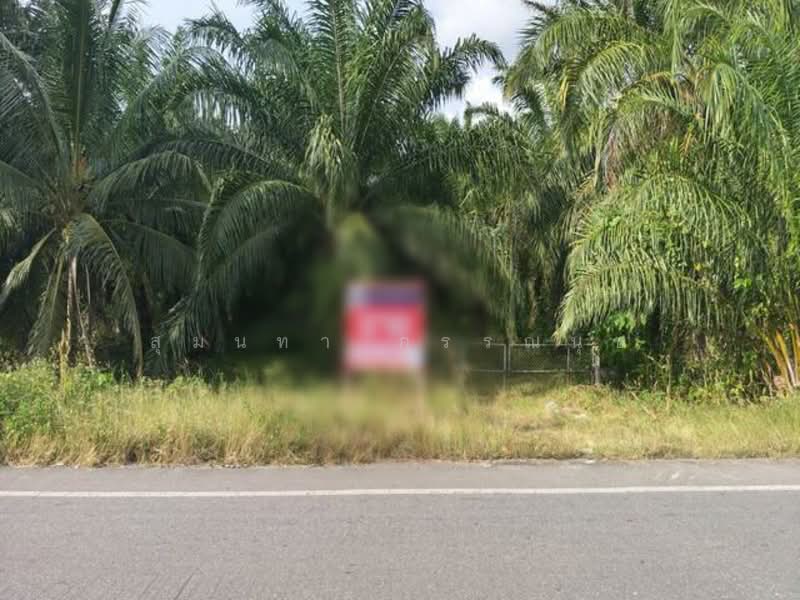 For Land At Ban Phrao Paphayom Phatthalung, Phatthalung