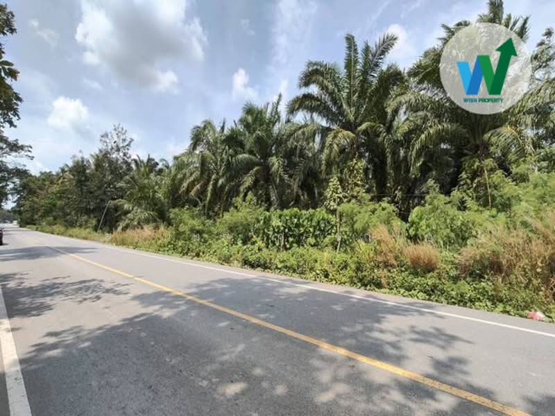 For Land At Ban Phrao Paphayom Phatthalung, Phatthalung